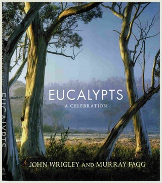Item #100485 Eucalypts. A Celebration. John Wrigley, Murray Fagg