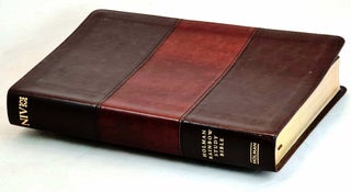 Item #101456 Holman Rainbow Study Bible