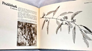 Item #102193 Eucalypts of the Perth Area [Limited Ed., Signed]. Susan Tingay, Allan