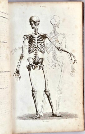 Item #102525 A System of Anatomical Plates of the Human Body : accompanied with descriptions, and...