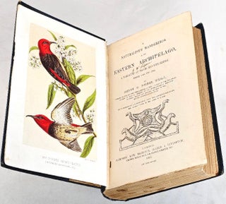 Item #102561 A Naturalist's Wanderings in the Eastern Archipelago, A Narrative of Travel and...