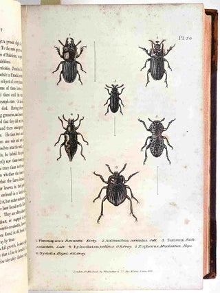 The Class Insecta arranged by the Baron Cuvier, with supplementary additions to each Order. Volume the Second.
