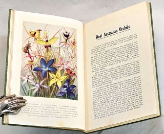Item #103156 West Australian Orchids. Emily H. Pelloe