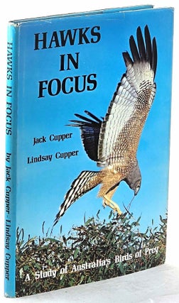 Item #103164 Hawks In Focus, A Study of Australia's Birds of Prey. Jack Cupper, Lindsay Cupper