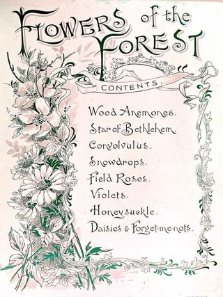 Photograph Album, "Flower of the Forest", 1890s.