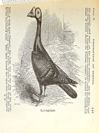 The Variation of Animals and Plants under Domestication (2 volumes). 1893