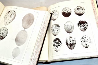 Nests and Eggs of Birds found breeding in Australia and Tasmania. (Second Edition of Catalogue No. XII, entirely re-written, with additions). Four Volumes.