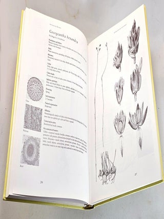 Australian Rushes. Biology, Identification and Conservation of Restionaceae and Allied Families