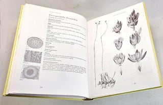 Australian Rushes. Biology, Identification and Conservation of Restionaceae and Allied Families
