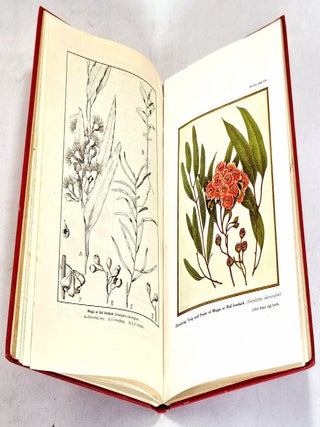 The Honey and Pollen Flora of New South Wales