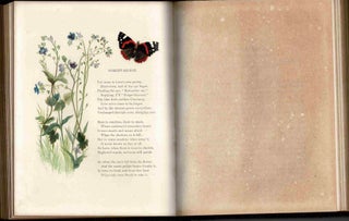 Item #95330 Common Wayside Flowers [First Edition]. Thomas Miller