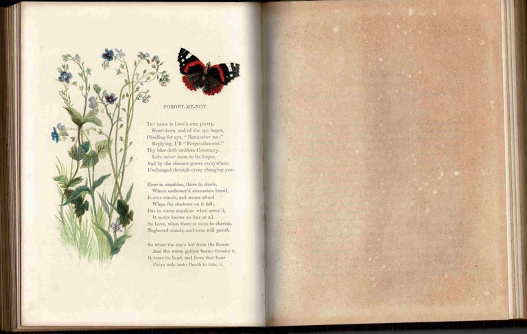 Item #95330 Common Wayside Flowers [First Edition]. Thomas Miller.