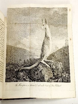 An Account of the Voyages Undertaken by the Order of His Present Majesty for Making Discoveries in the Southern Hemisphere ... in the Dolphin, Swallow and Endeavour (with) folding plates 'View of Endeavour River' and 'The Kanguroo'. Volumes III & IV