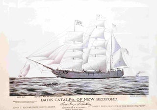 Item #99287 Bark Catalpa of New Bedford